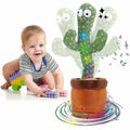 CACTUS VORBITOR SI DANSATOR