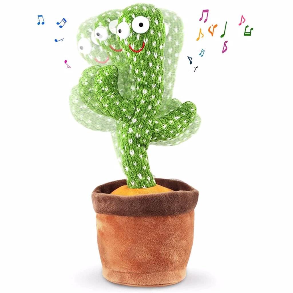 CACTUS VORBITOR SI DANSATOR