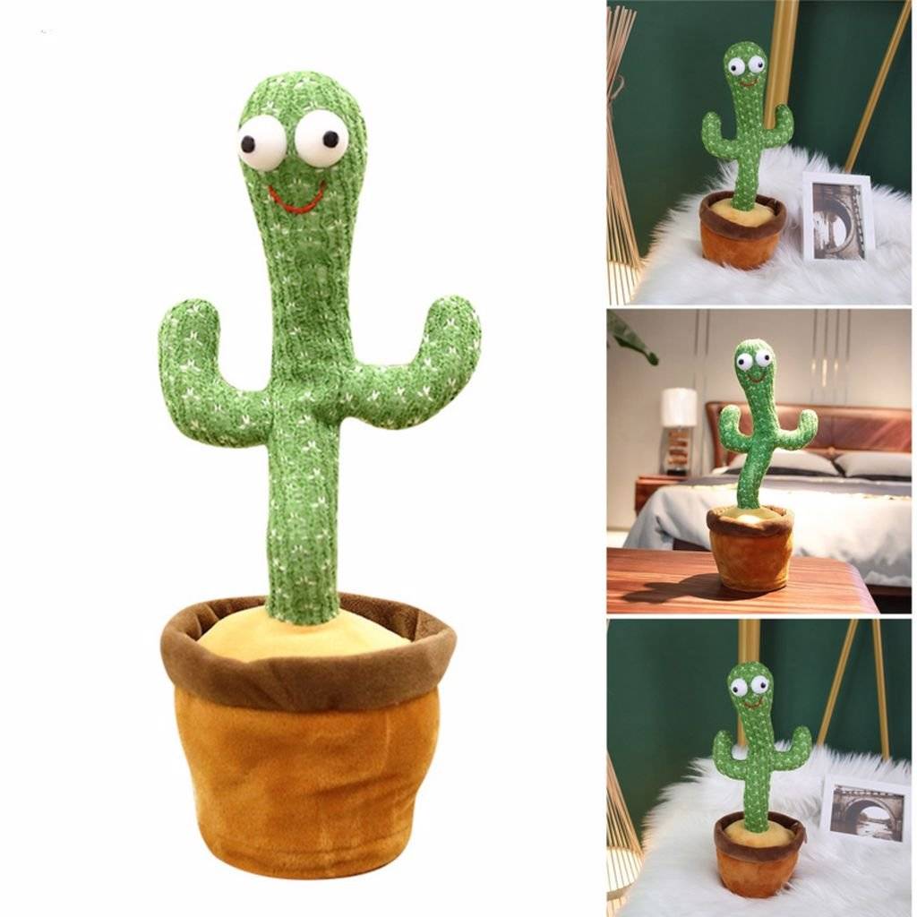 CACTUS VORBITOR SI DANSATOR