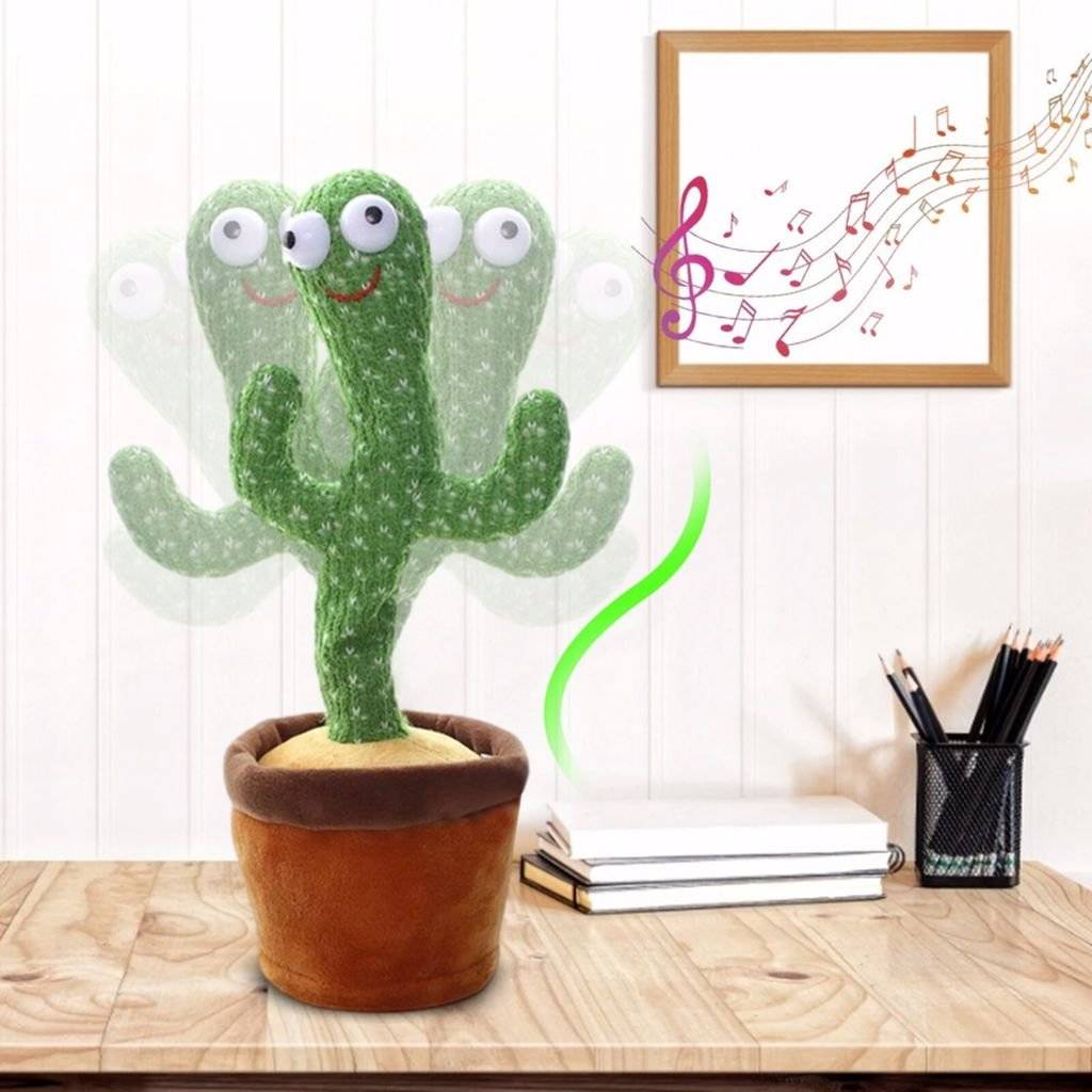 CACTUS VORBITOR SI DANSATOR