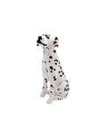 Catel de plus, Dalmatian, alb/negru, 25 cm