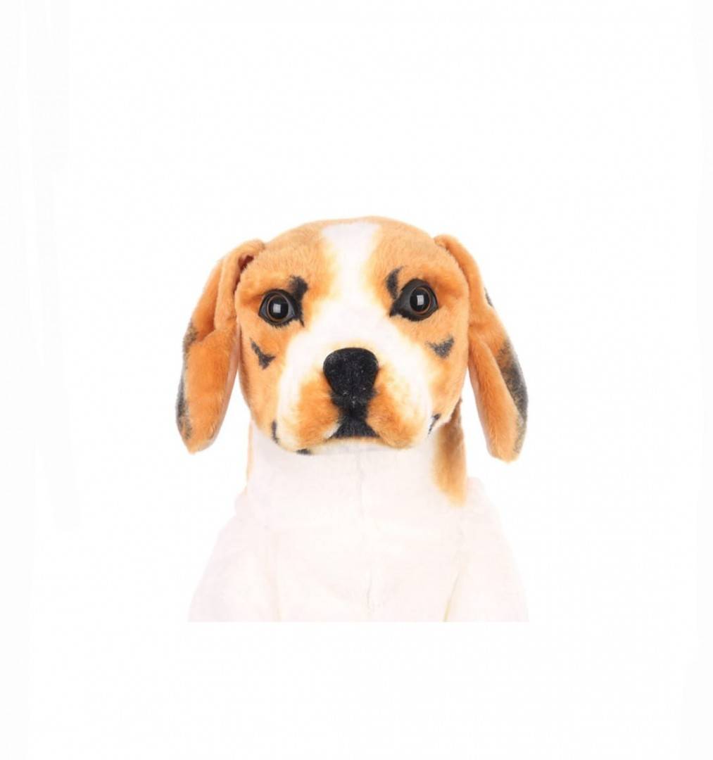 Catel de plus realist, Beagle, maro/alb, 32 cm