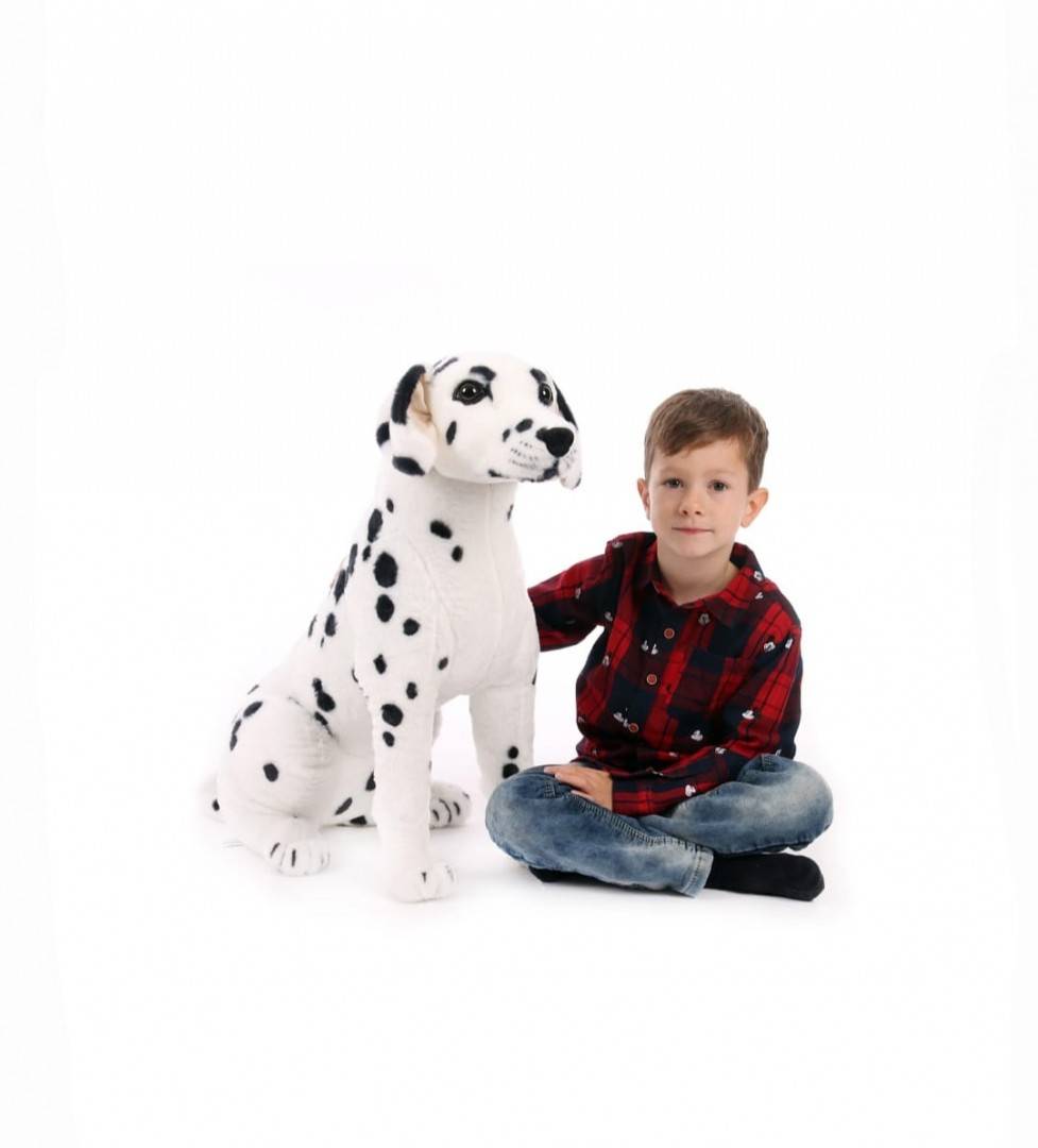 Catel de plus realist, Dalmatian, alb/negru, 32 cm