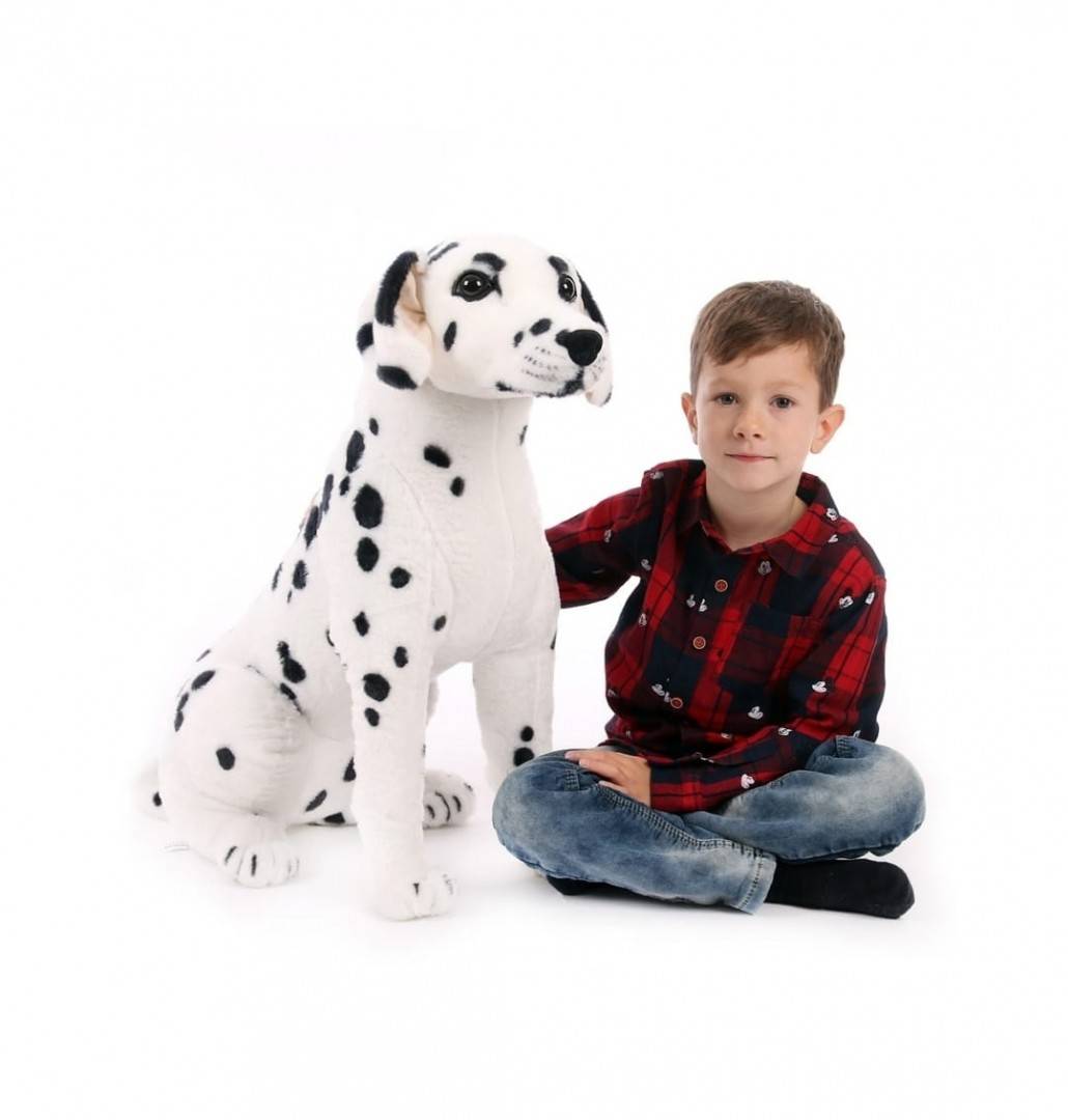 Catel de plus realist, Dalmatian, negru/alb, 45 cm