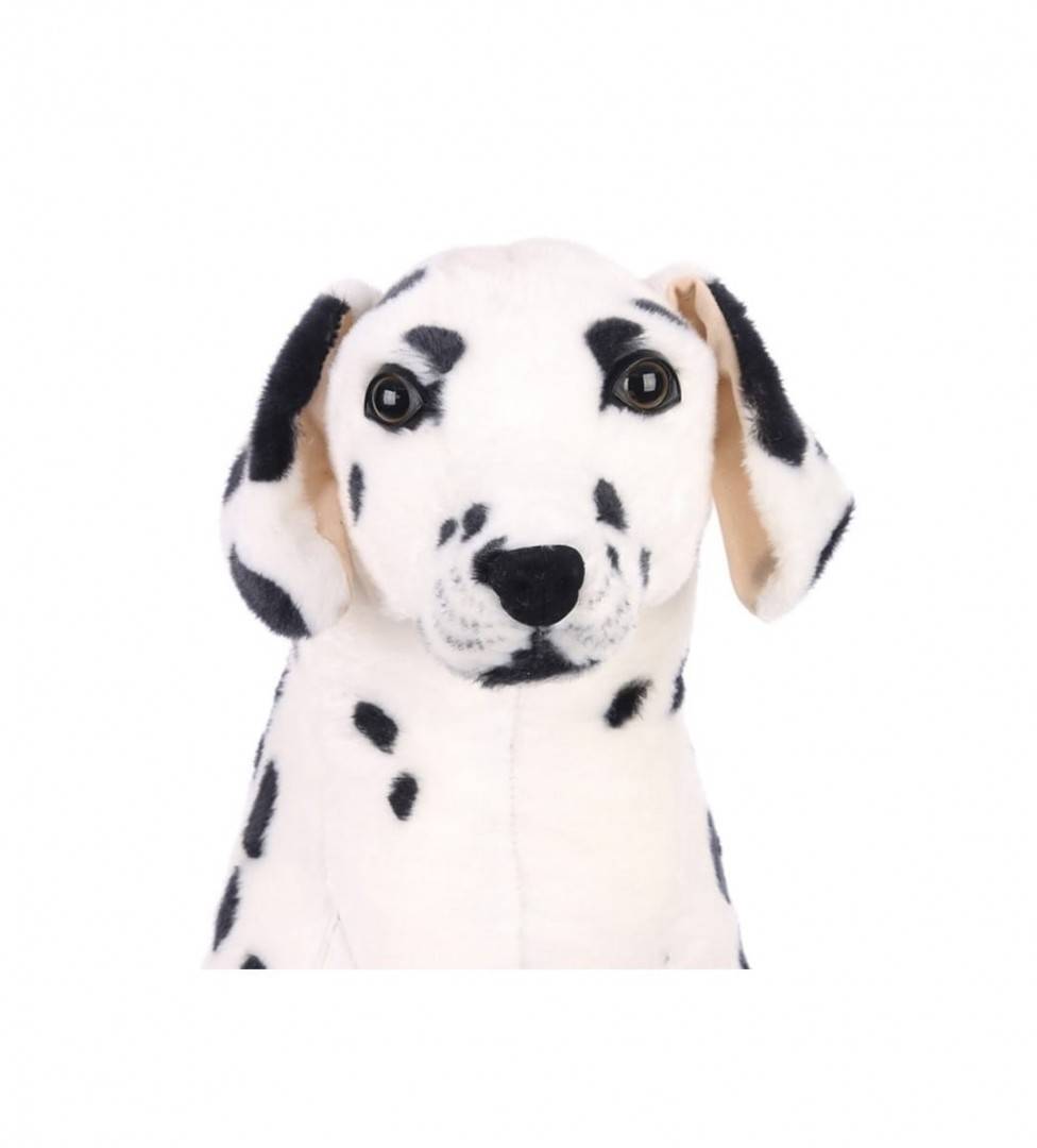 Catel de plus realist, Dalmatian, negru/alb, 45 cm