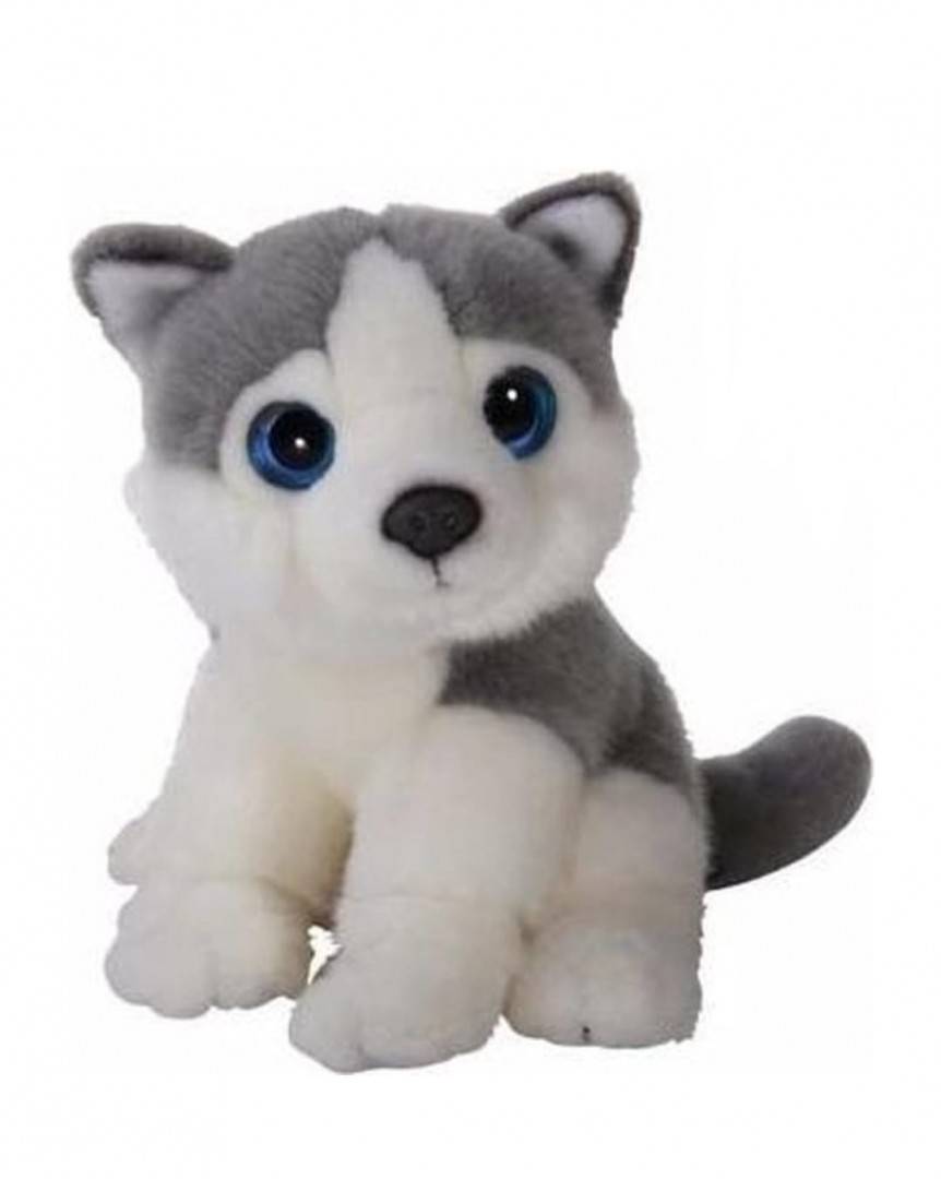 Catelus de plus, Husky, gri/alb, 21 cm