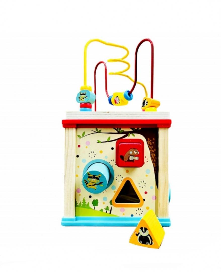Cub cu activitati Montessori, educativ 5 in 1, lemn, multicolor