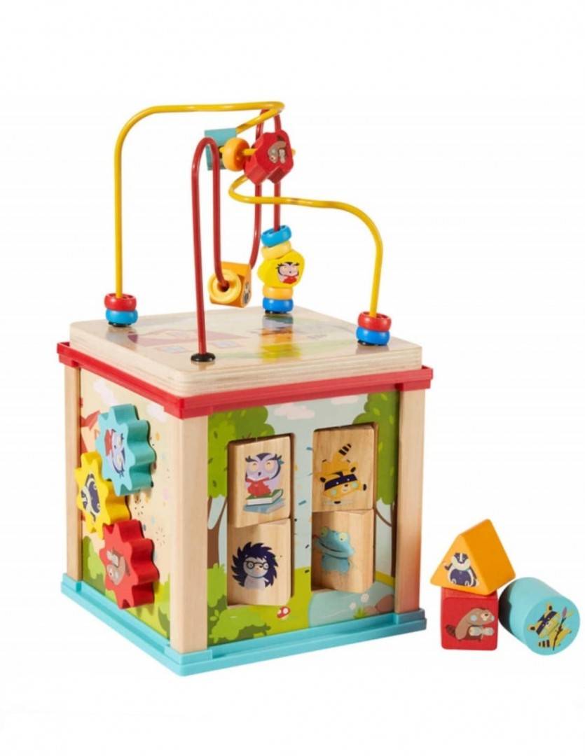 Cub cu activitati Montessori, educativ 5 in 1, lemn, multicolor