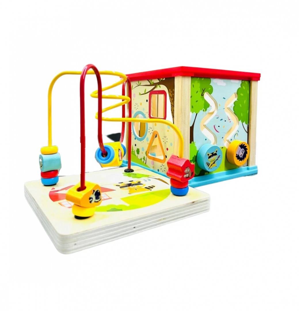 Cub cu activitati Montessori, educativ 5 in 1, lemn, multicolor