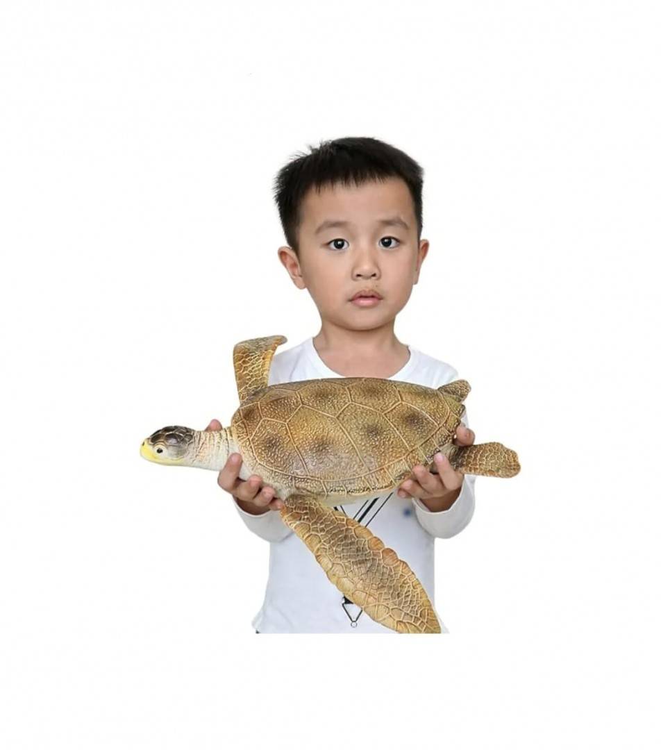 Figurina Broasca Testoasa, realist, multicolor, 34 cm