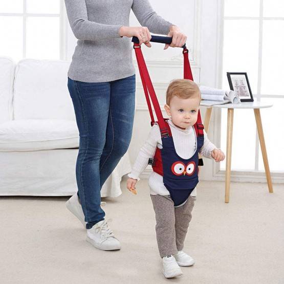 Ham bebe Asistenta la mers 2 in 1 Blue Owl