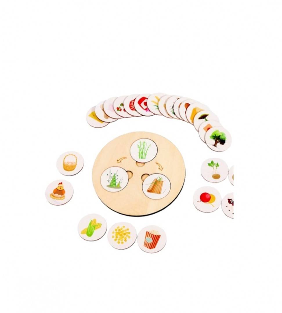 Joc de logică și asociere, Decomposing Game, montessoril, lemn, 30 piese