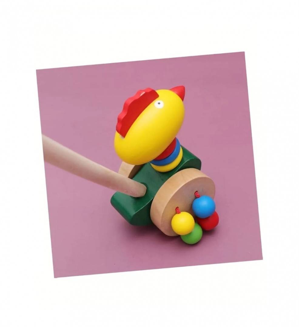 Jucarie de impins pentru copii, Cocos, lemn, 1 an+