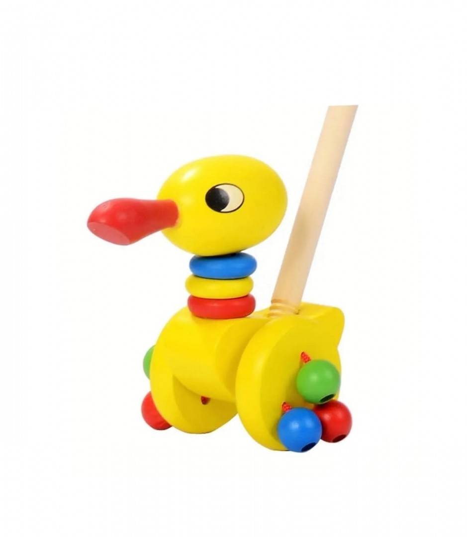 Jucarie de impins pentru copii, Gasca, lemn, 1 an+