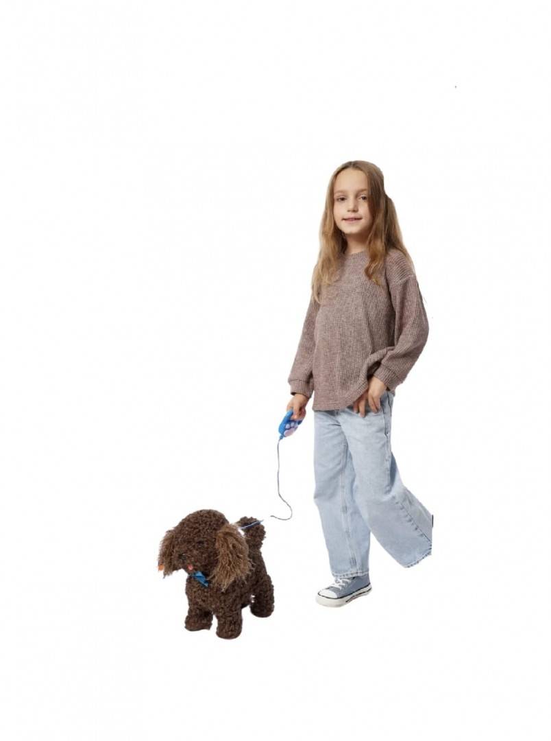 Jucarie interactiva, Catel cu lesa, MASHASHOP, merge, sunet, maro inchis, 30 cm