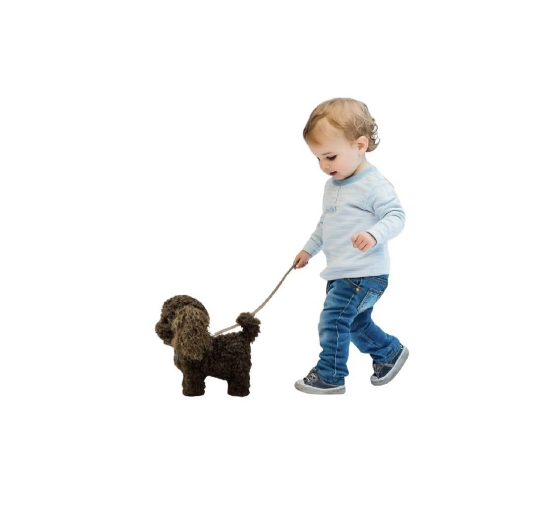Jucarie interactiva, Catel cu lesa, MASHASHOP, merge, sunet, maro inchis, 30 cm
