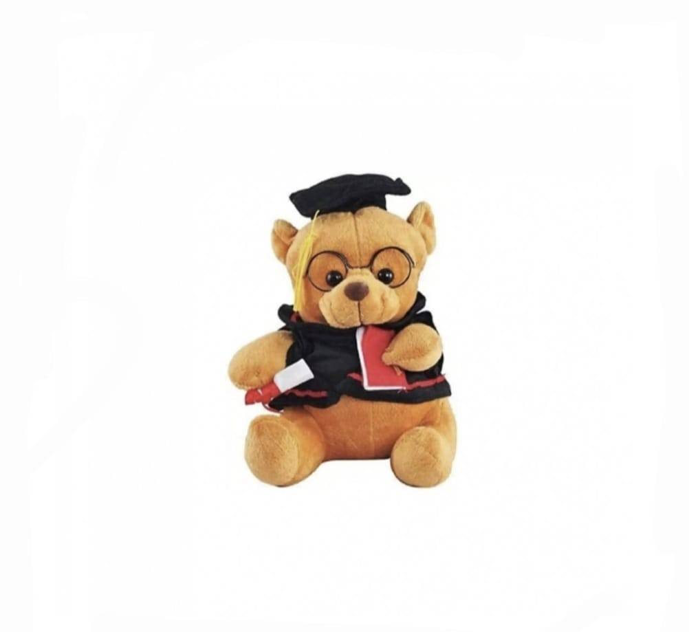 Mascota de plus, Ursuletul Student Abosolvire, maro, 15 cm