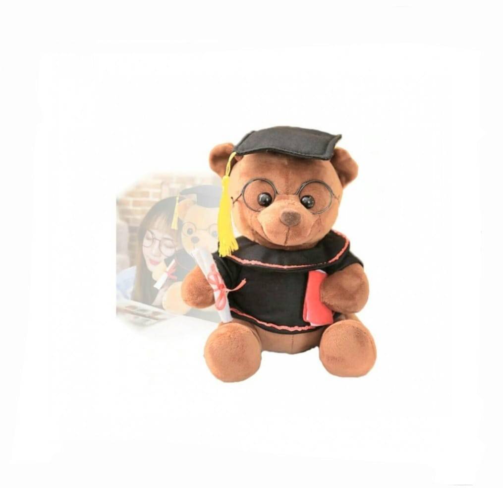 Mascota de plus, Ursuletul Student Abosolvire, maro, 15 cm