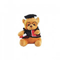 Mascota de plus, Ursuletul Student Abosolvire, maro, 30 cm