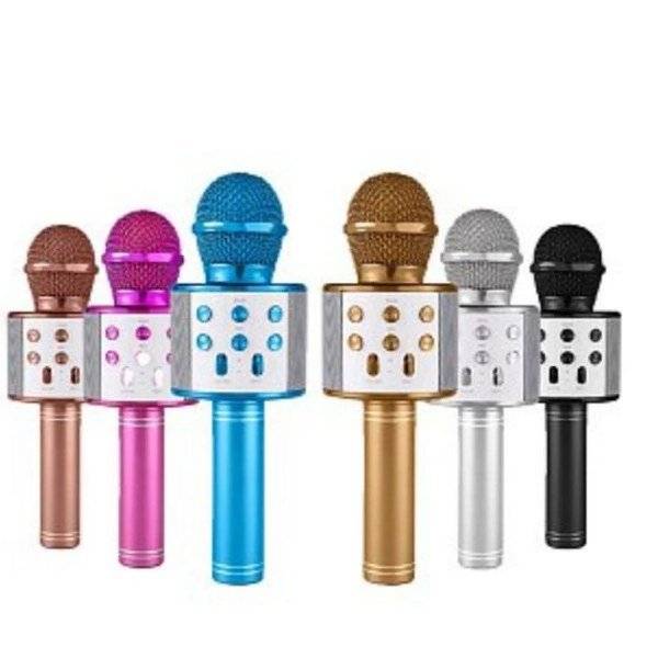 Microfon wireless profesional