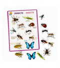 Puzzle din lemn 3D insecte in limba romana, 30 cm
