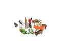 Set 12 Figuirne Animale Domestice, multicolor, 5 cm - 9 cm