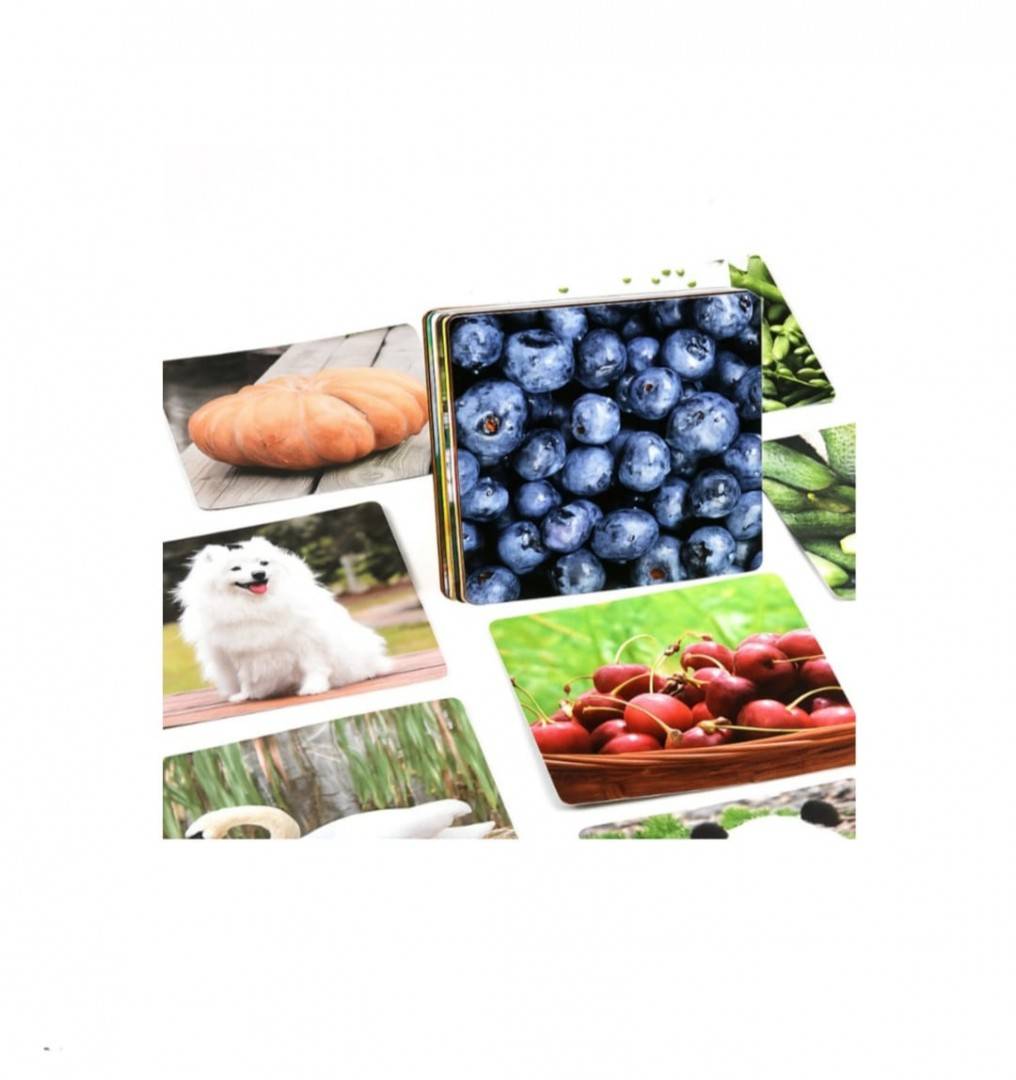 Set 30 Carduri ilustrate, imagini stimulare cognitiva copii si bebelusi, multicolor, 12-24 luni