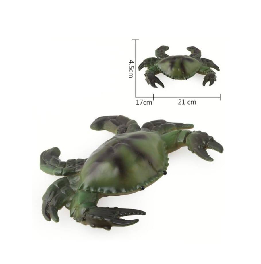 Set 5 Figurine Animale Marine , multicolor , 23 cm