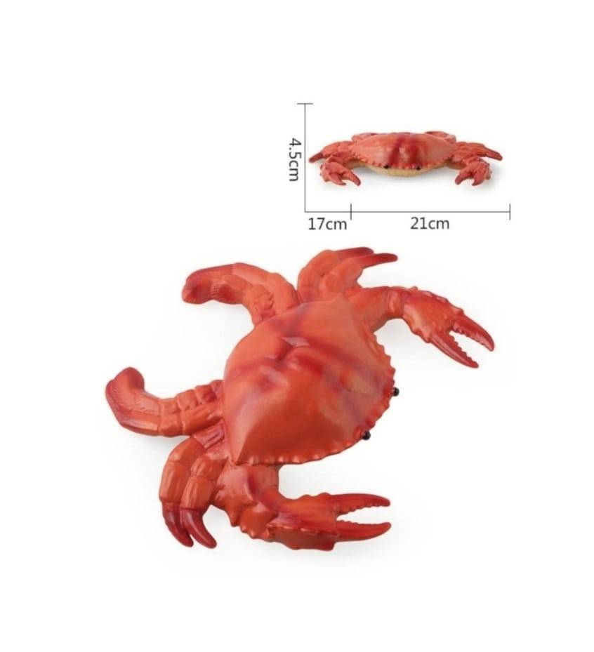 Set 5 figurine Animale Marine , multicolor , 23 cm