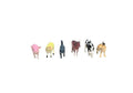 Set 6 Figurine, Animale Domestice, multicolor, 6 cm