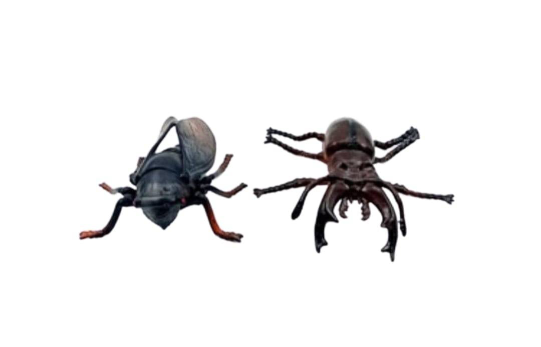 Set 6 Insecte, Animals Insects, multicolor, 11 cm