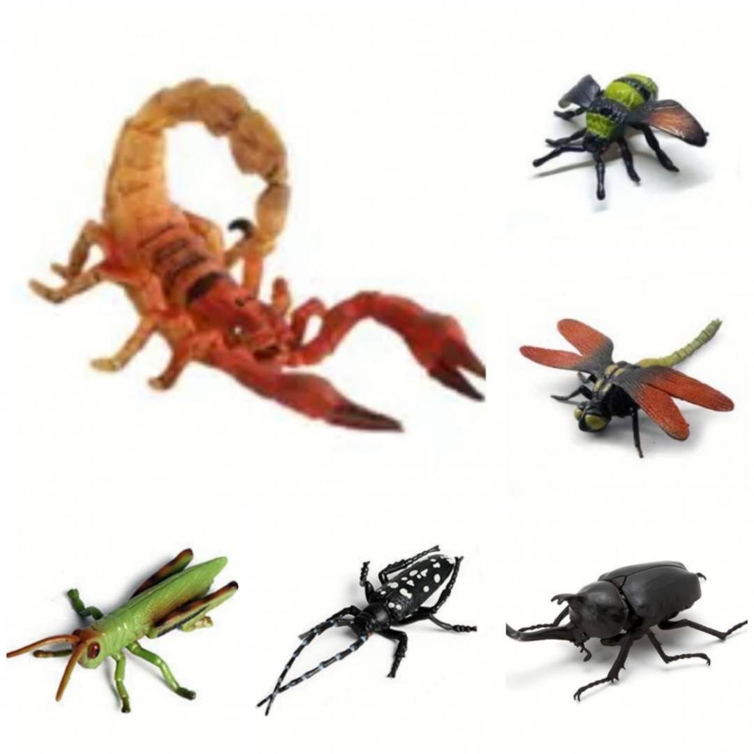 Set 6 Insecte, Animals Insects, multicolor, 12 cm