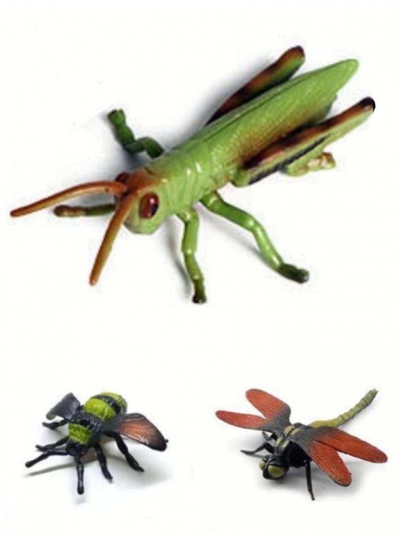 Set 6 Insecte, Animals Insects, multicolor, 12 cm