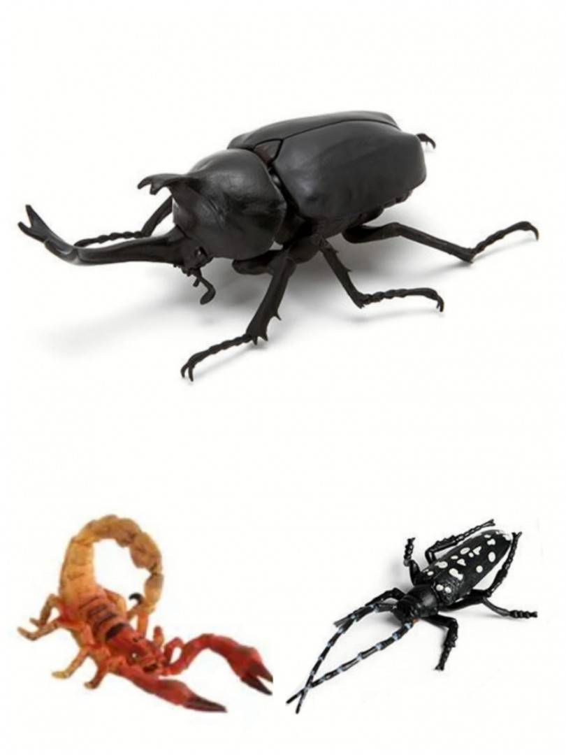 Set 6 Insecte, Animals Insects, multicolor, 12 cm