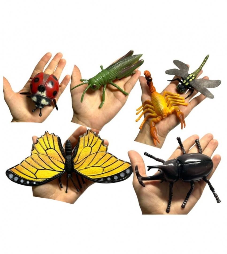 Set 6 Insecte mari, multicolor, 7 cm - 20 cm