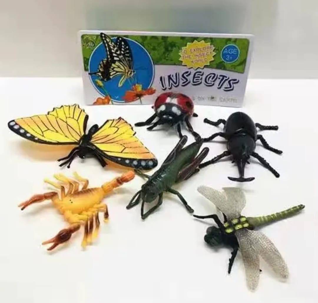 Set 6 Insecte mari, multicolor, 7 cm - 20 cm