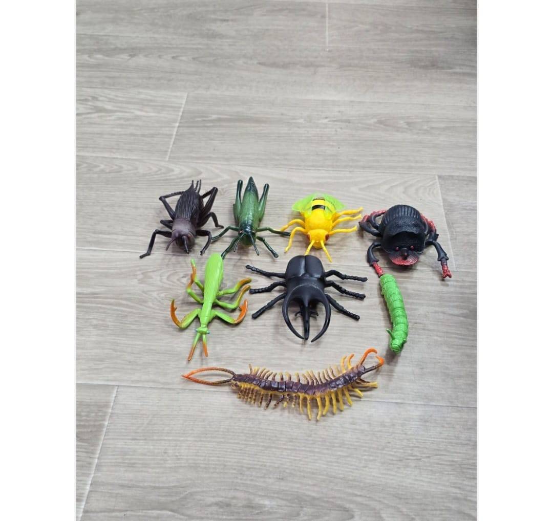 Set 8 Insecte, multicolor, 10 cm