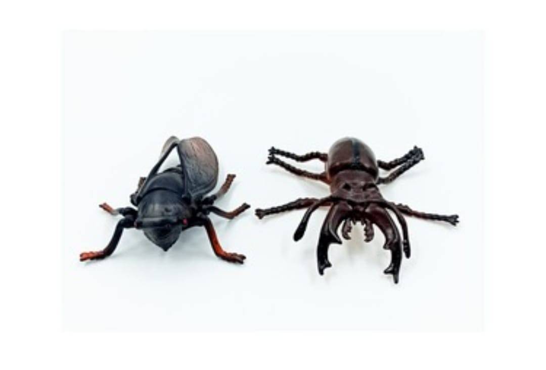 Set 8 Insecte, Mystical Insects, multicolor, 11 cm